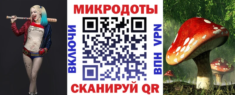 ОМГ ОМГ tor Коммунар Псилоцибиновые грибы GOLDEN TEACHER